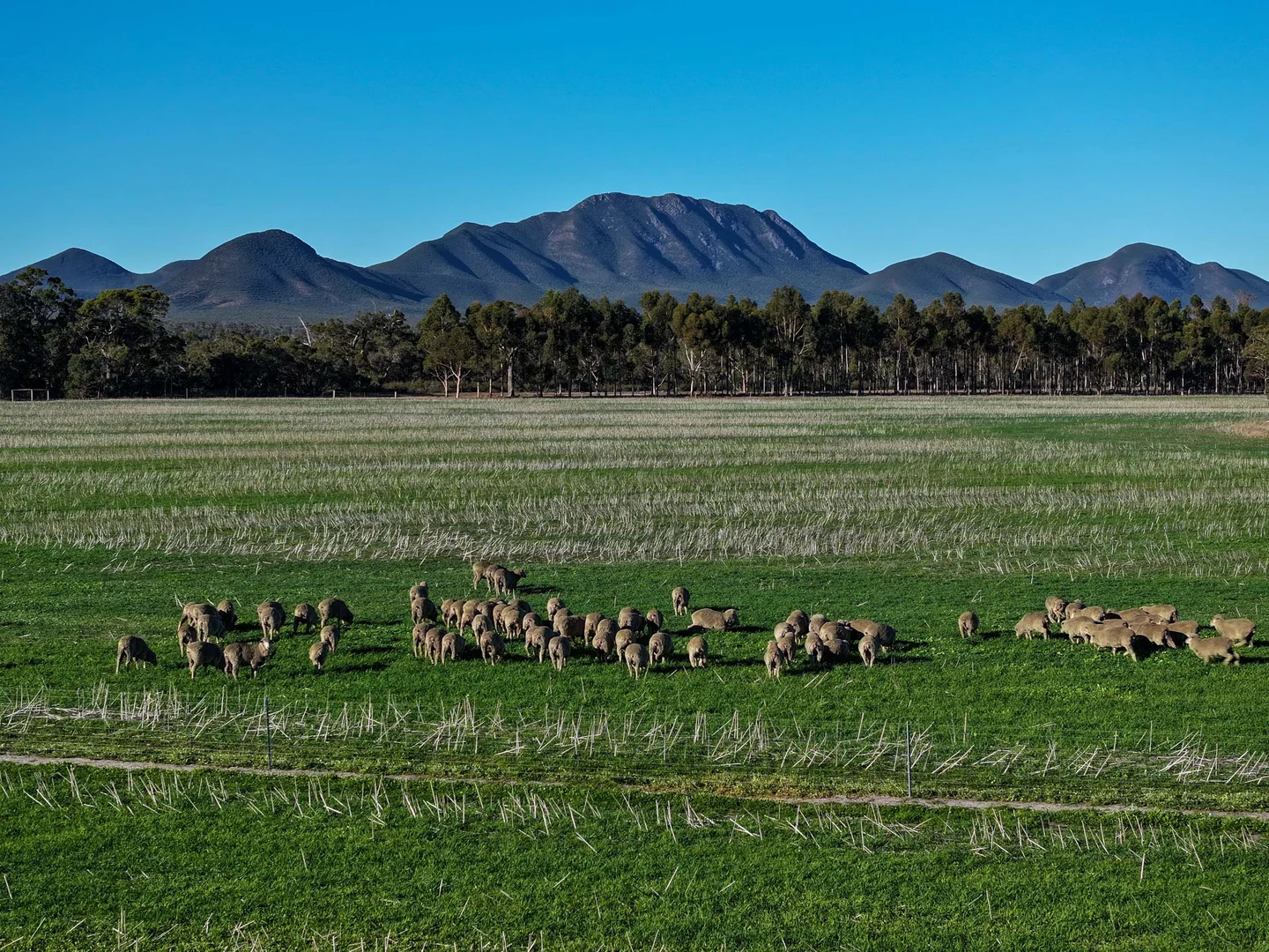 Additional image 13 of 712 View Range Road, Kendenup WA 6323