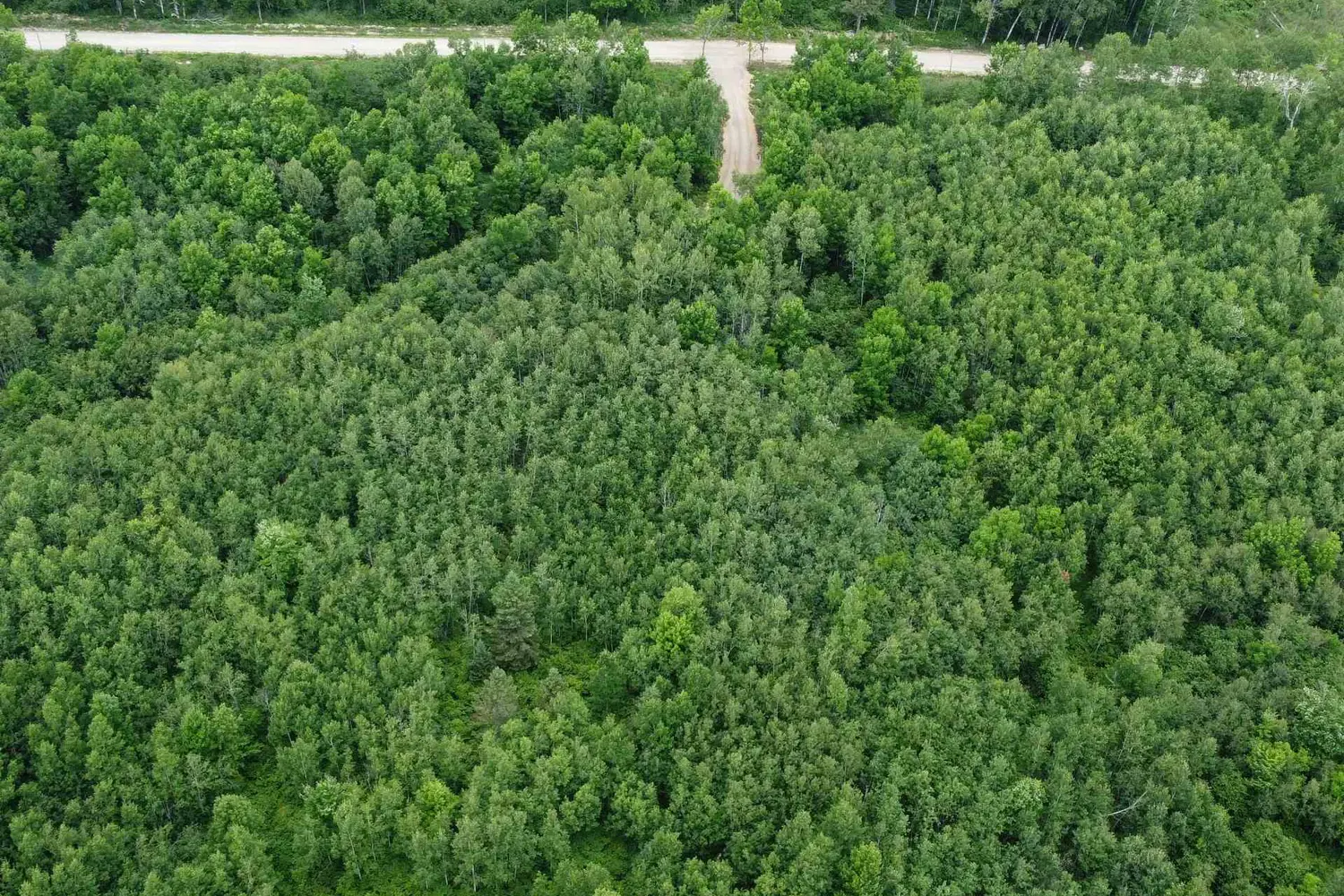 Additional image 10 of 249 Hills Siding Road