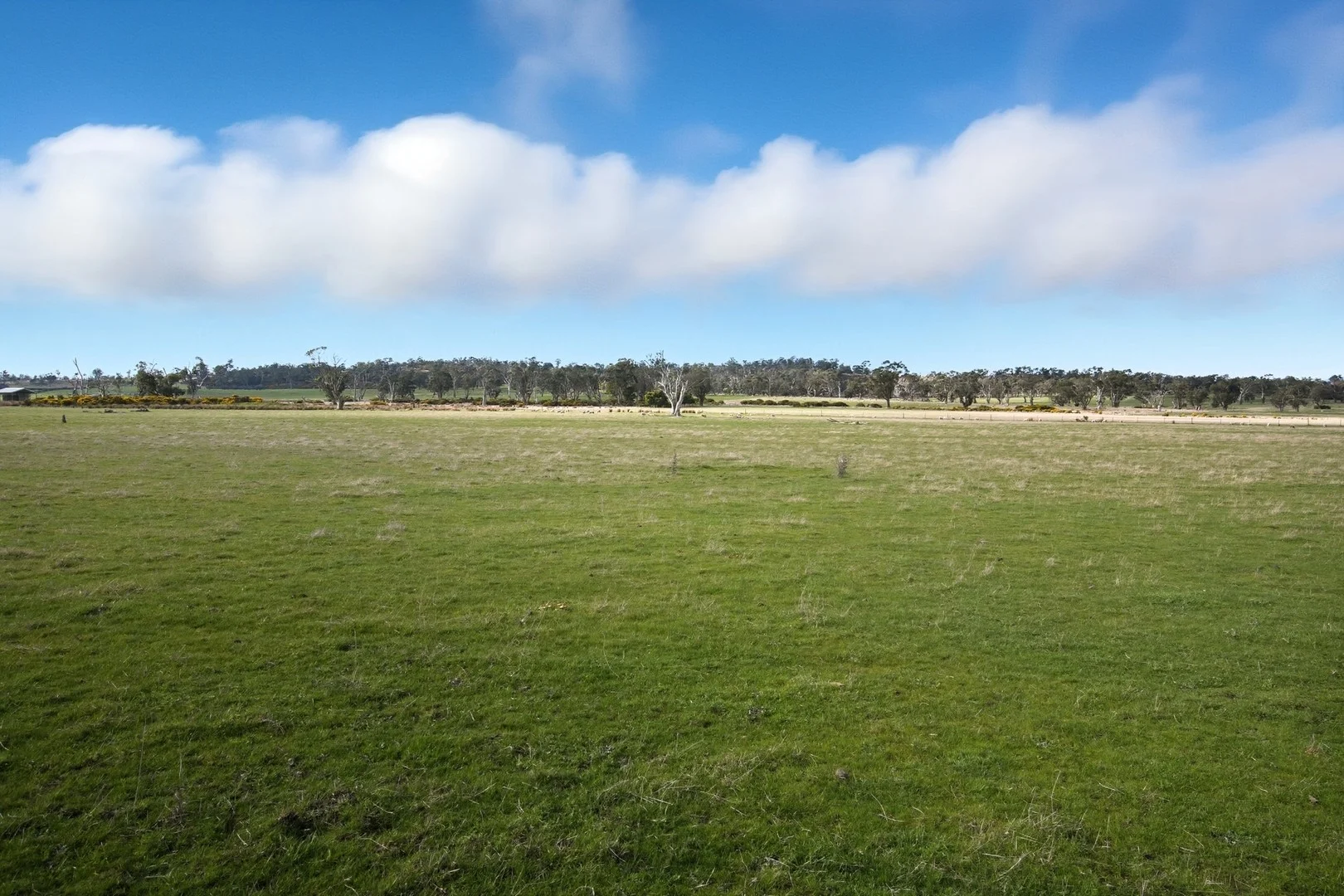 Additional image 3 of 33 Haggerston Farm Road, Perth TAS 7300