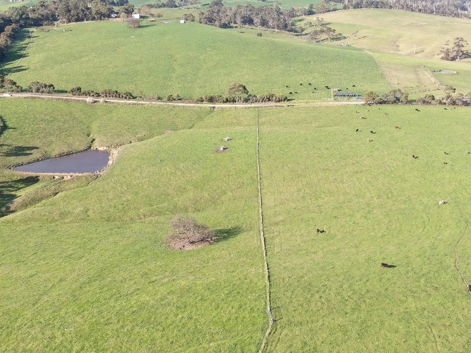 Additional image 6 of 180 Old Koonwarra-Meeniyan Road, Koonwarra VIC 3954