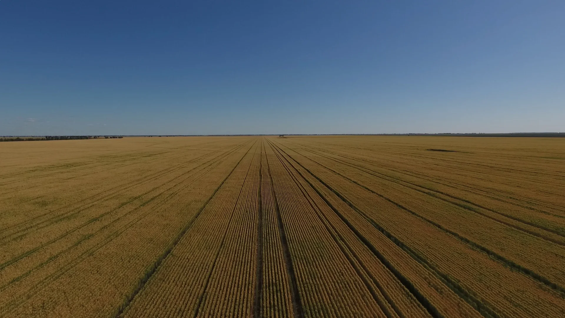 Additional image 18 of 609 Barragunda Road, Urana NSW 2645