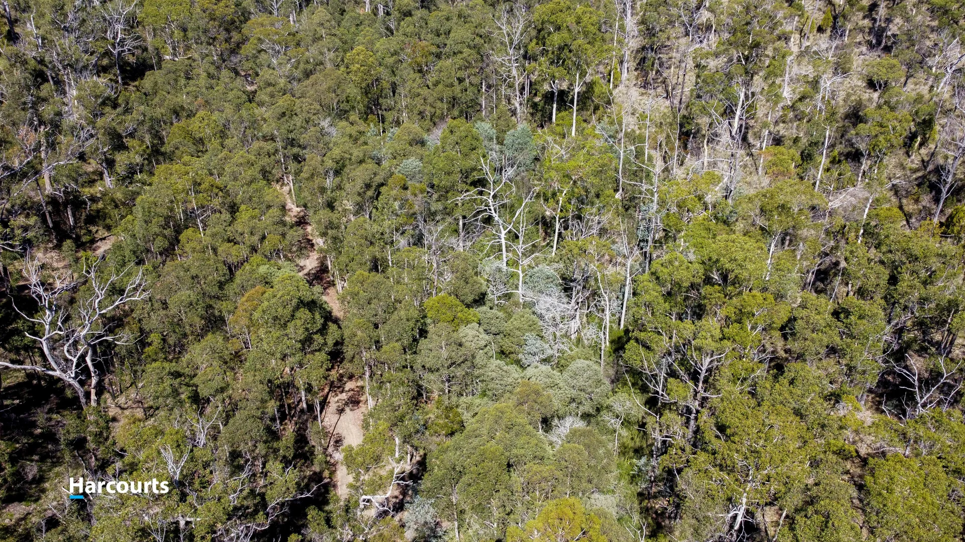 Additional image 11 of RA Basin Road, Grove TAS 7109