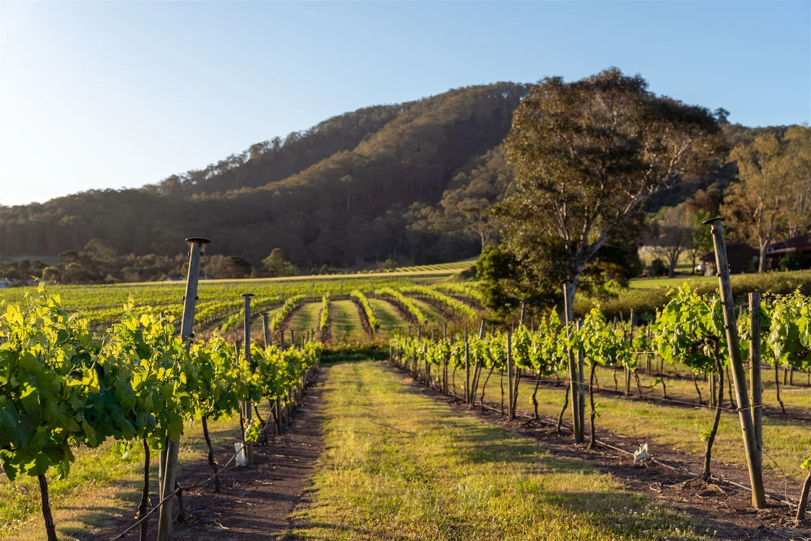 Additional image 8 of 1335 Bolong Road, Coolangatta NSW 2535