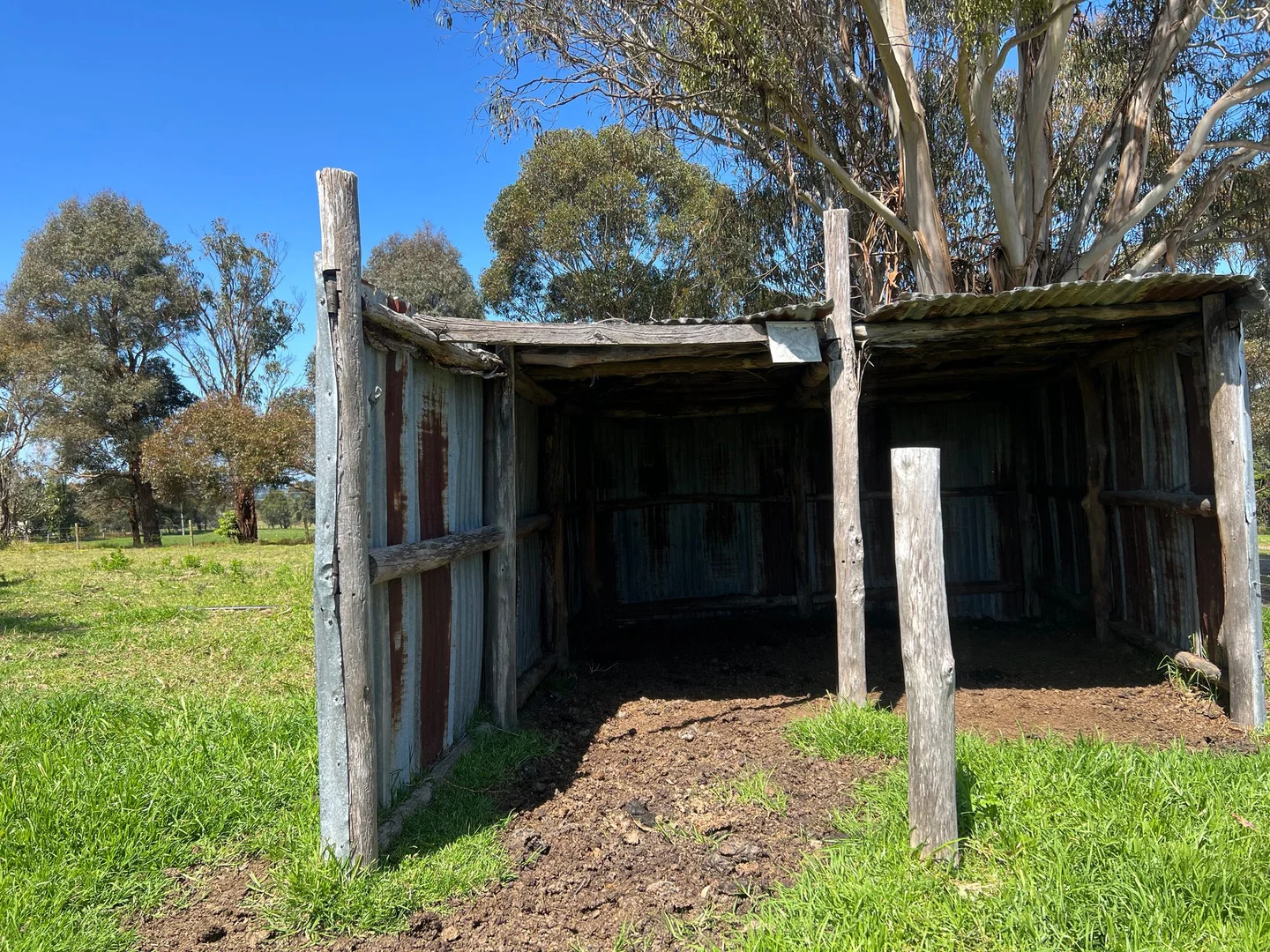 Additional image 4 of Lot 1, 389 Princes Highway, Orbost VIC 3888