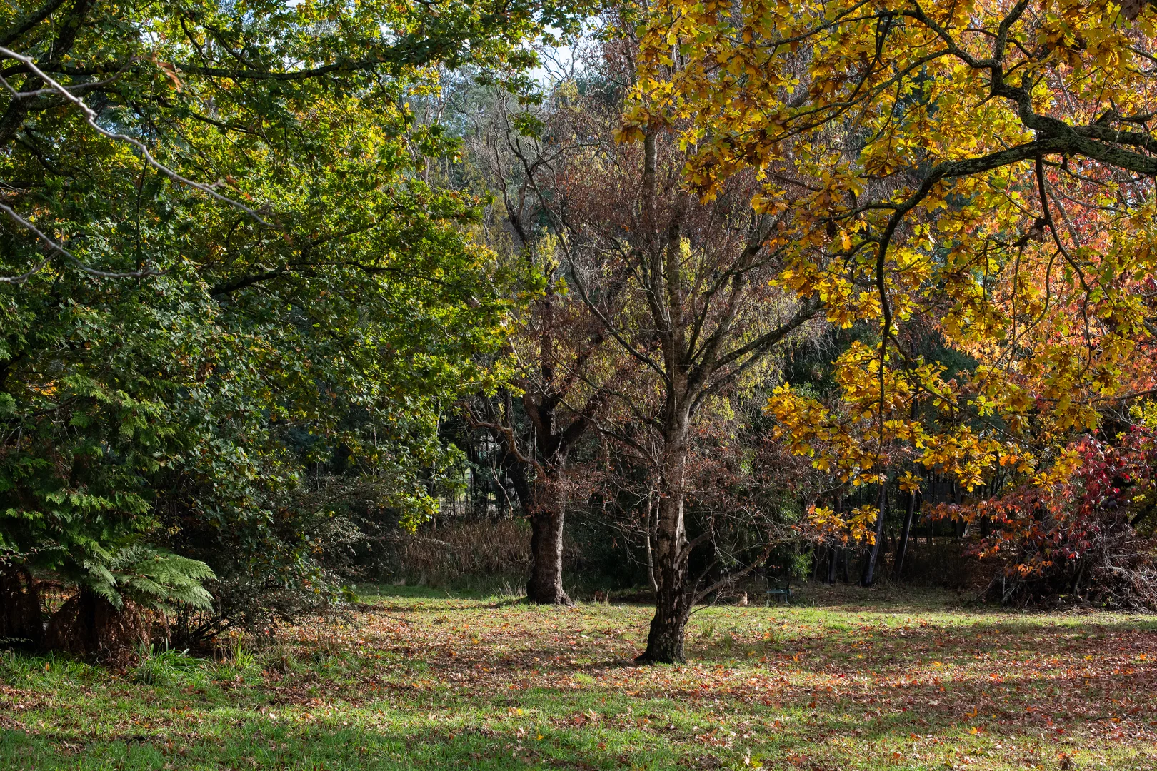 Additional image 22 of 13 Morrison Street, Kimberley TAS 7304