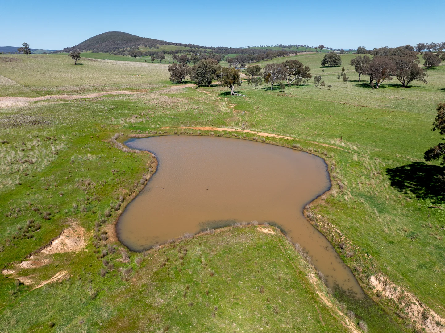 Additional image 16 of 2829 Cargo Road, Orange NSW 2800
