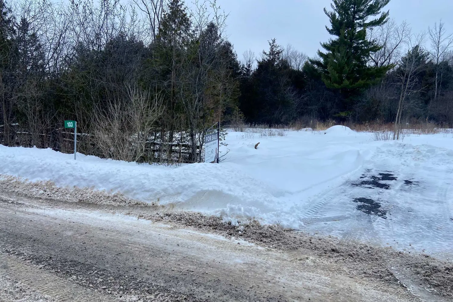 Additional image 9 of 103 Estis Road