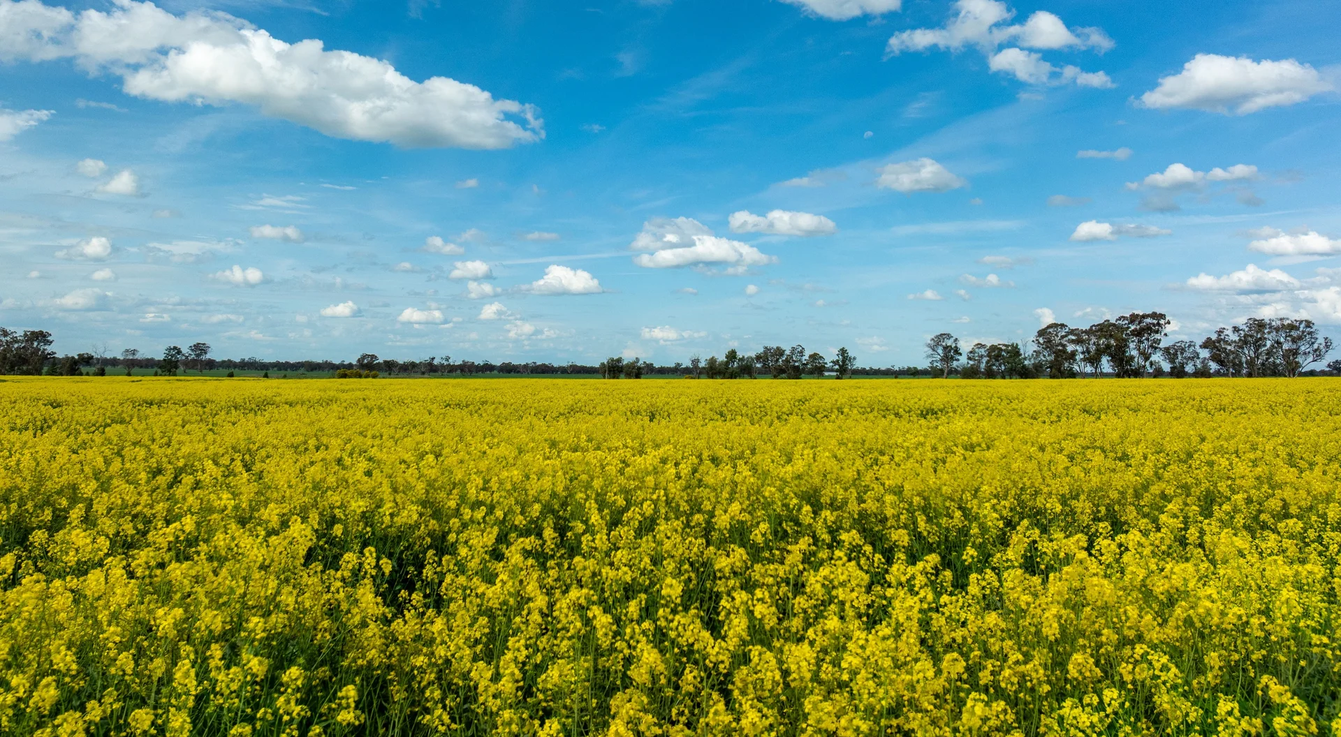 Additional image 3 of 90 Kilnyana Road, Savernake NSW 2646