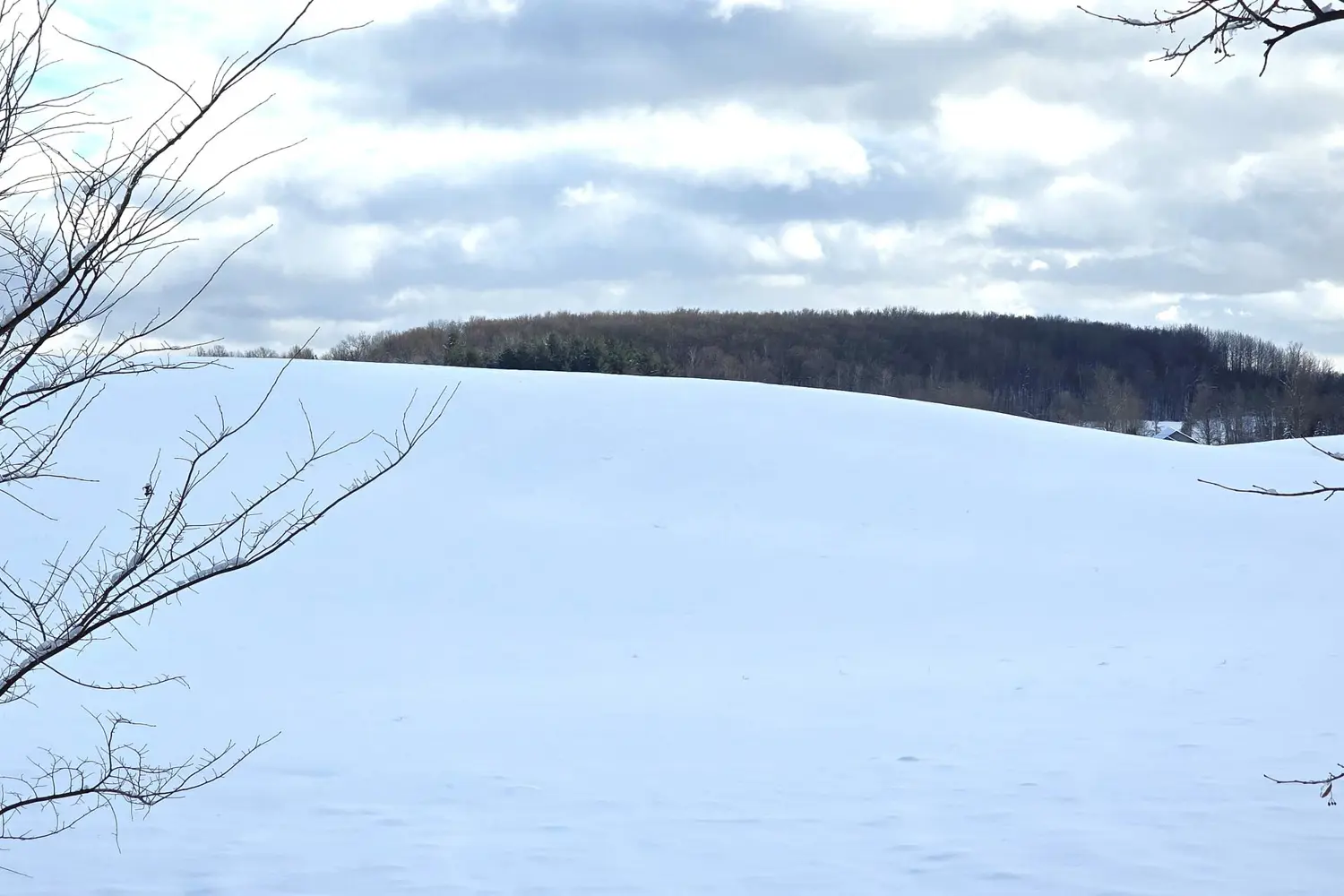 Additional image 16 of 0 Willet Road