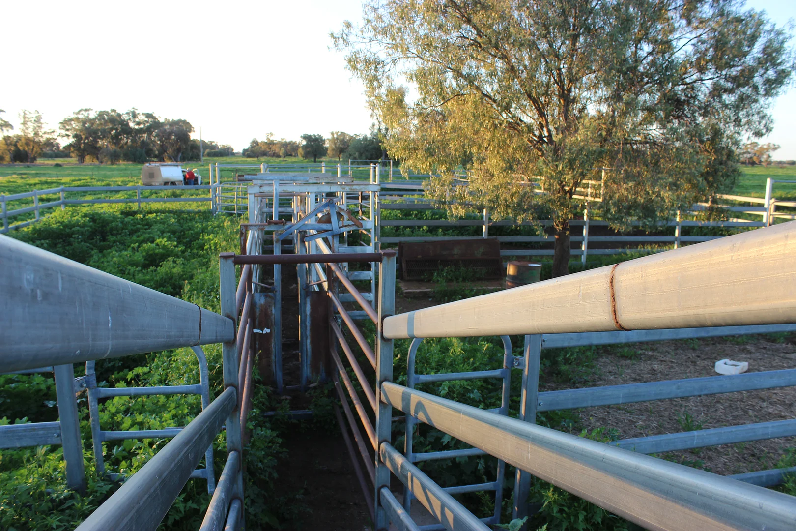 Additional image 13 of 1378 Keewong Lane, Coonamble NSW 2829