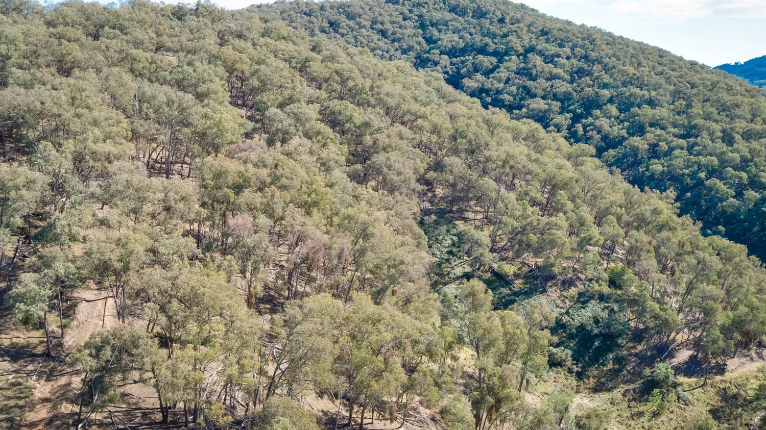 Additional image 29 of 84 Twist Creek Road, Yackandandah VIC 3749