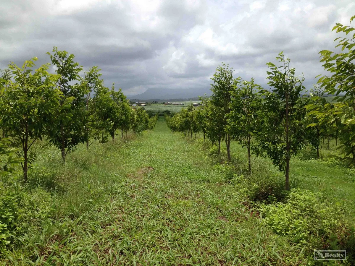 Additional image 11 of L15 Broccardo Road, Garradunga QLD 4860