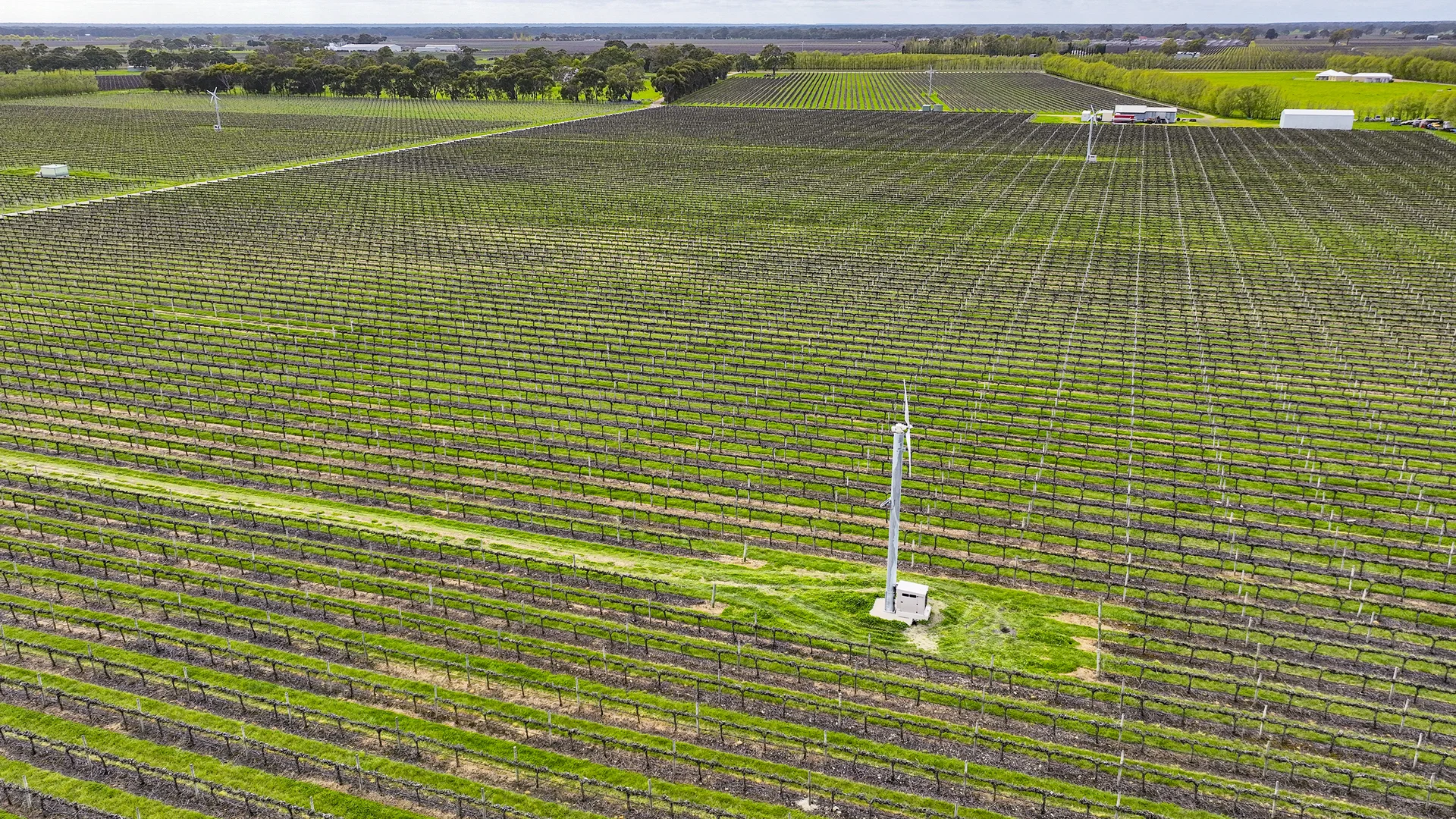 Additional image 7 of LOT 102, Bond Road, Penola SA 5277