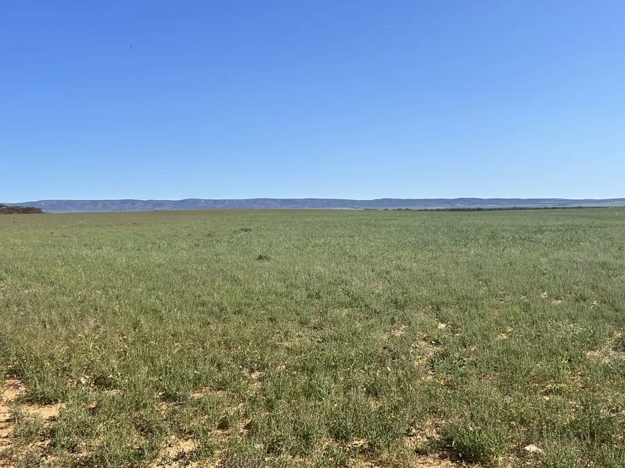 Additional image 4 of Section 114 264 Philips Road, Minbrie SA 5602