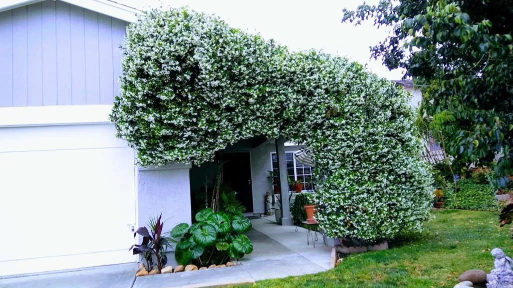 Additional image 2 of 4777 Crooked Creek Ct., San Diego, CA 92113