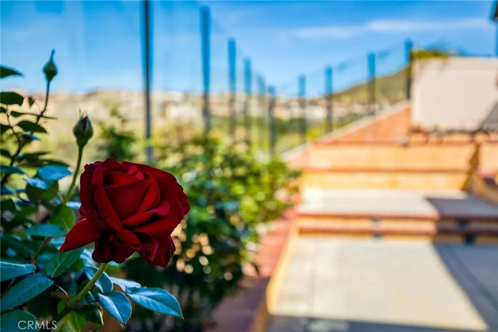 Additional image 45 of 24655 Acadia Dr, Corona, CA 92883