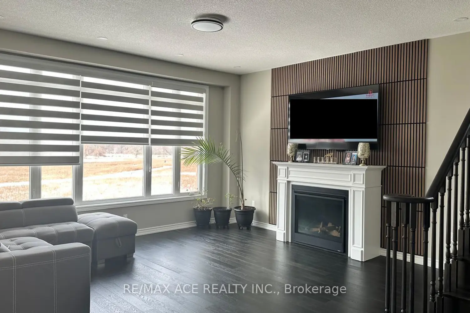 Additional image 6 of 50 Golden Meadows Drive