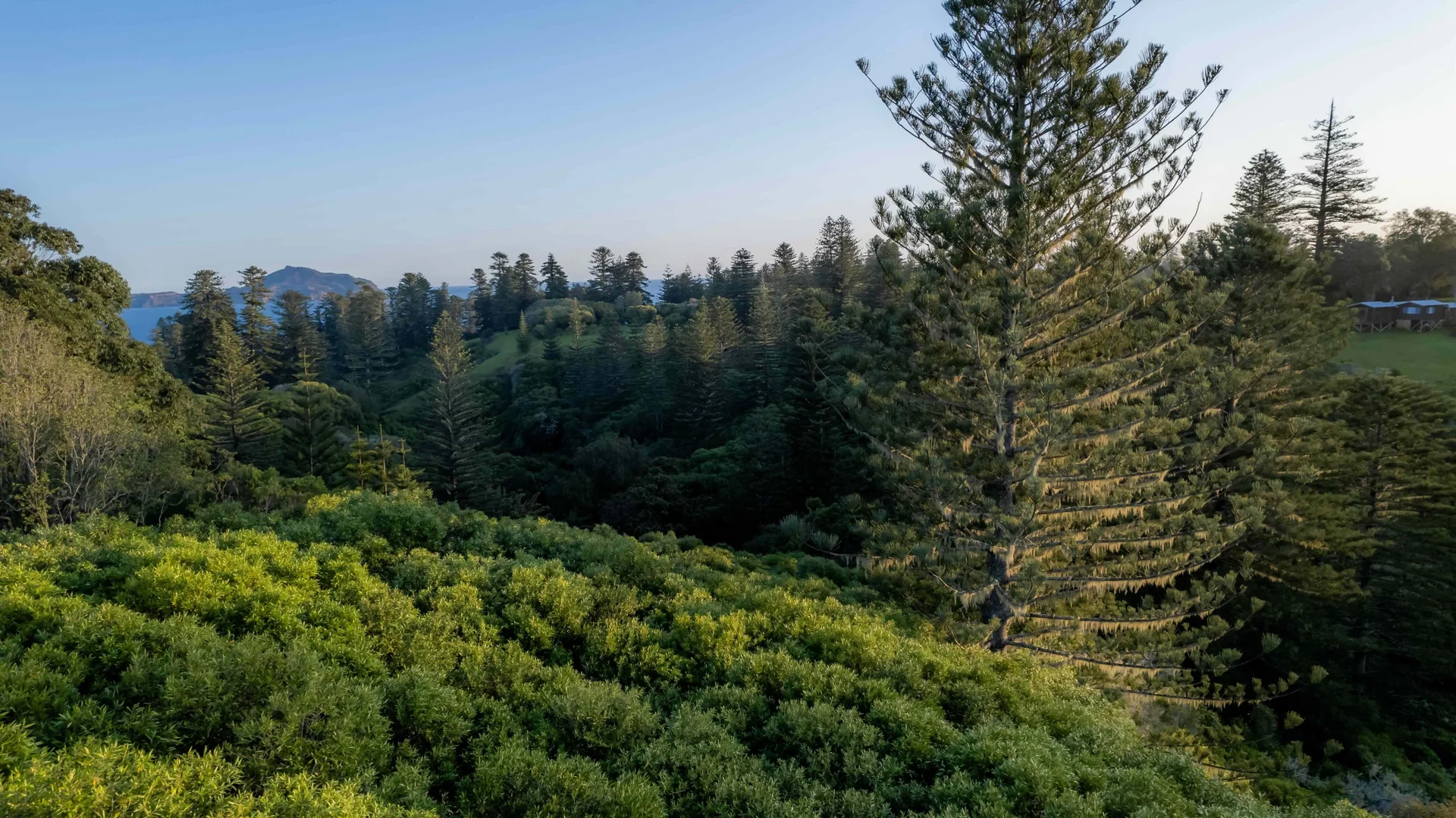 Additional image 7 of 77w6 Longridge Road, Norfolk Island NSW 2899