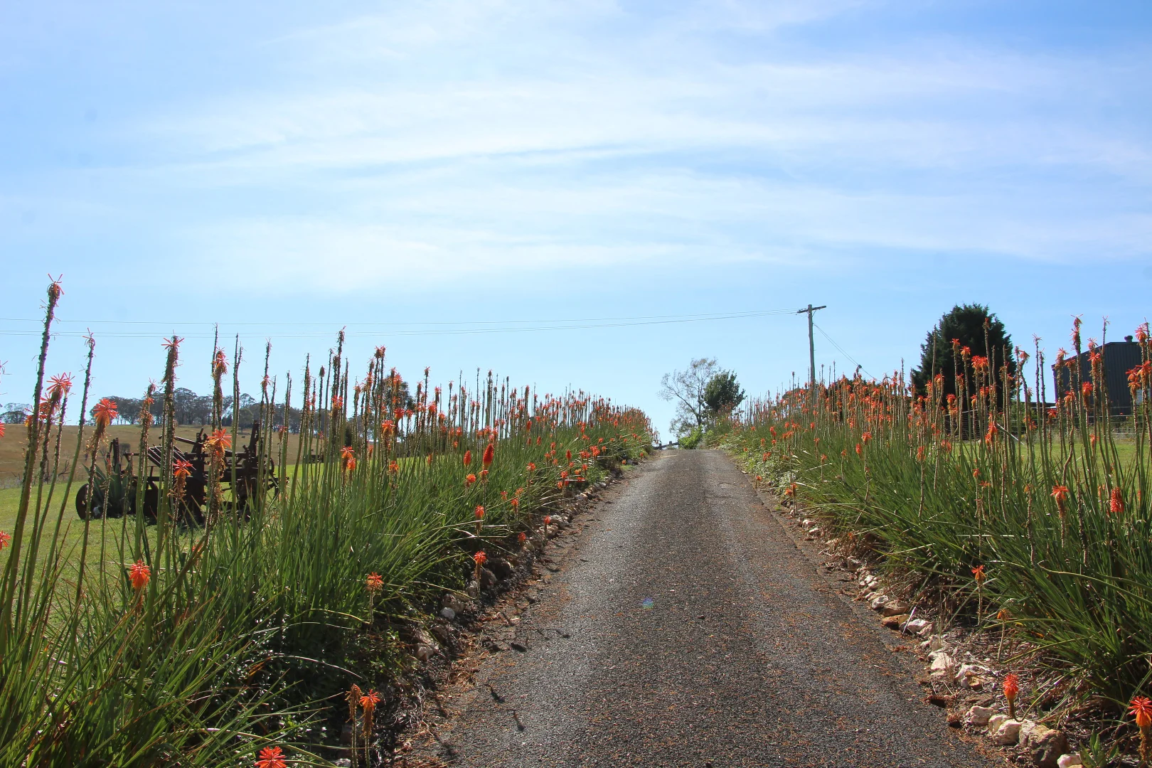 Additional image 28 of 153 Triangle Flat Road, Rockley NSW 2795
