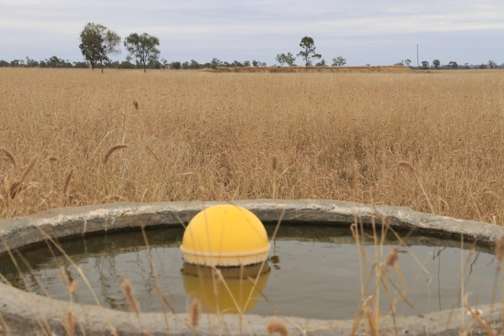 Additional image 7 of Ona Ona Road, Roma QLD 4455