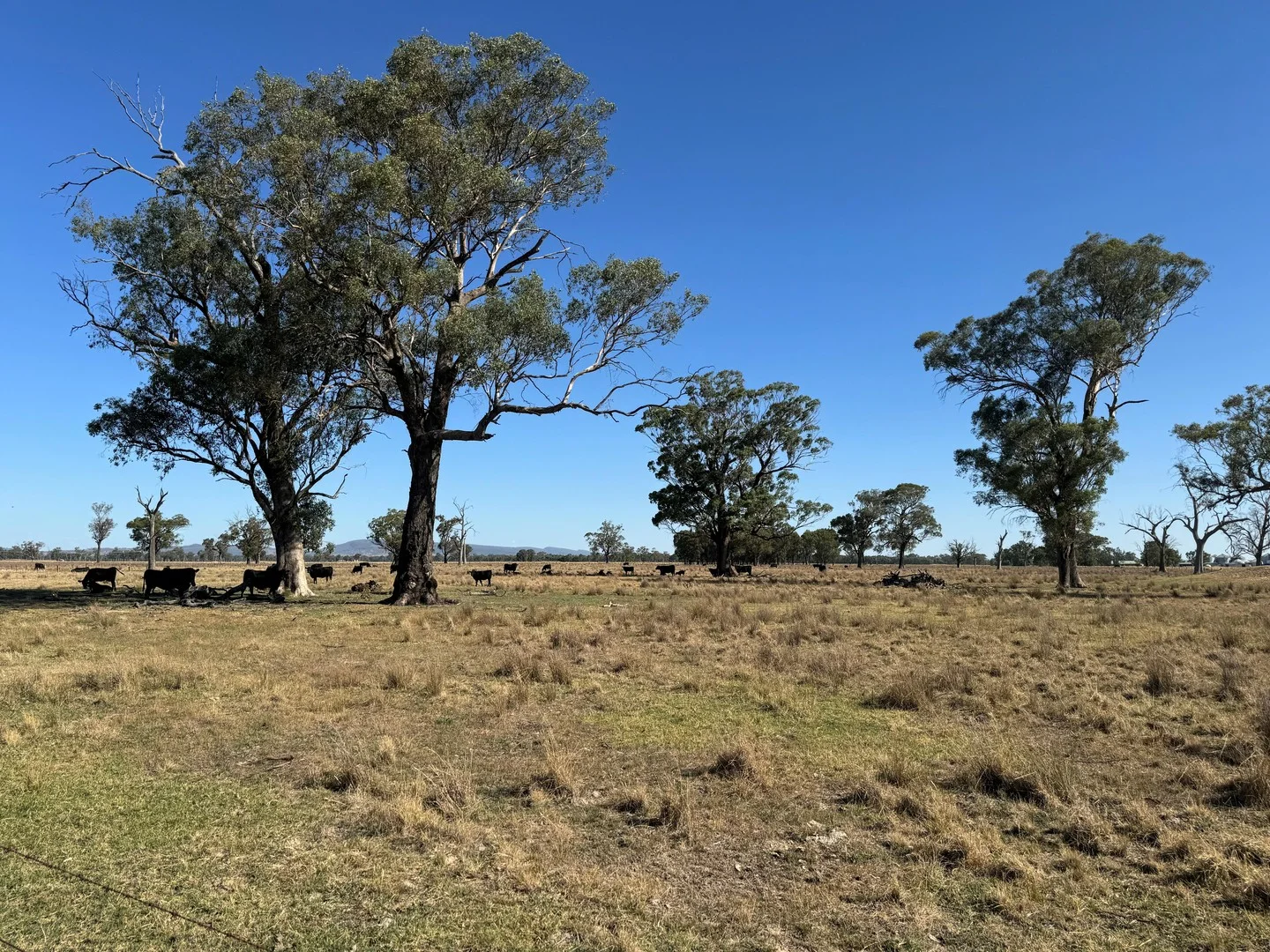 Additional image 3 of 122 Reapers Road, Culcairn NSW 2660