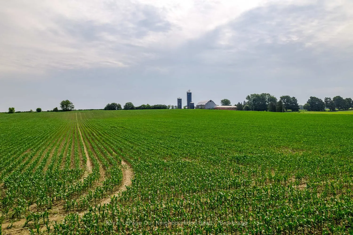 Additional image 7 of 00 Mckinlay Road