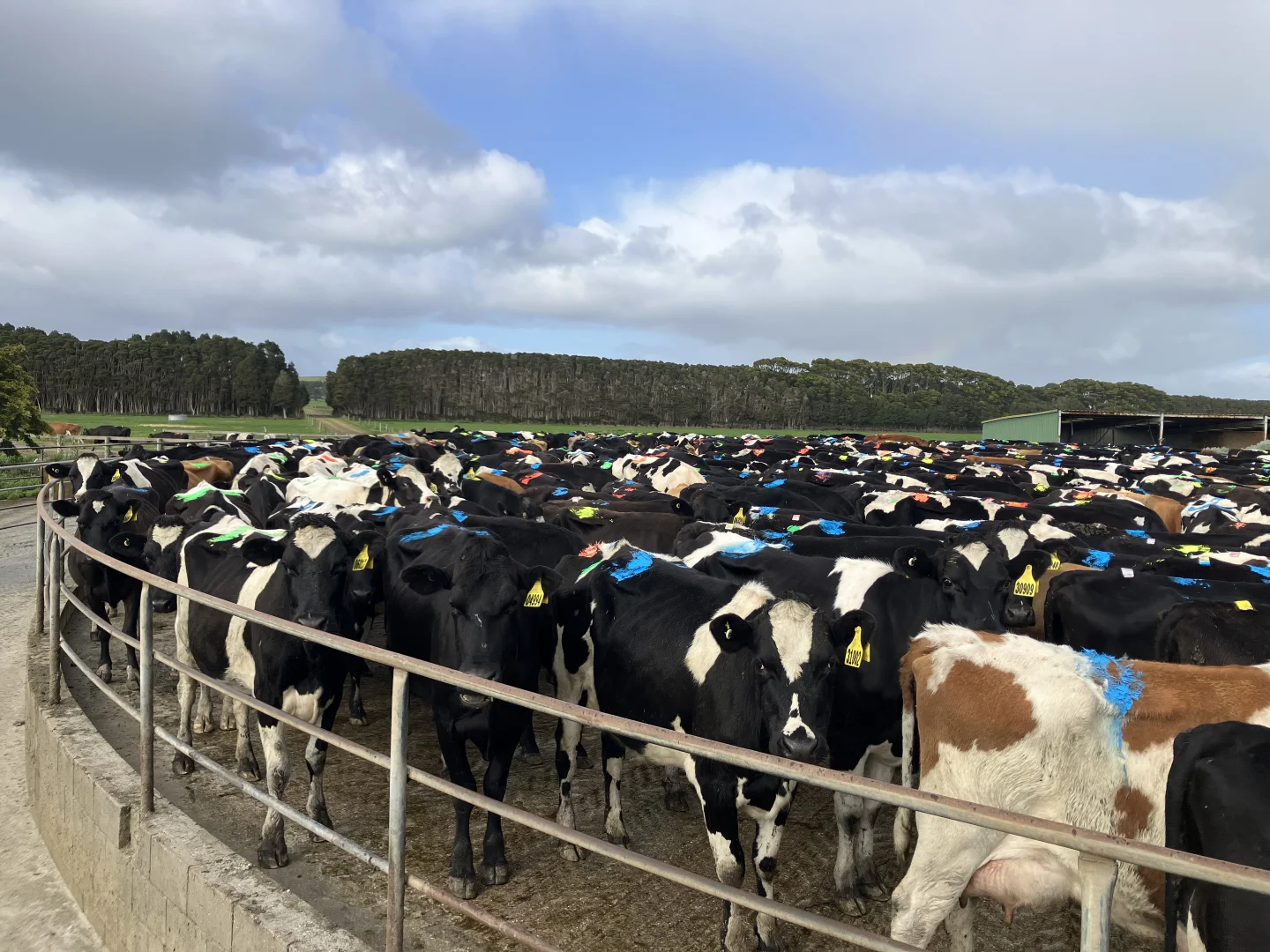 Additional image 18 of 301 Woolnorth Road, Woolnorth TAS 7330