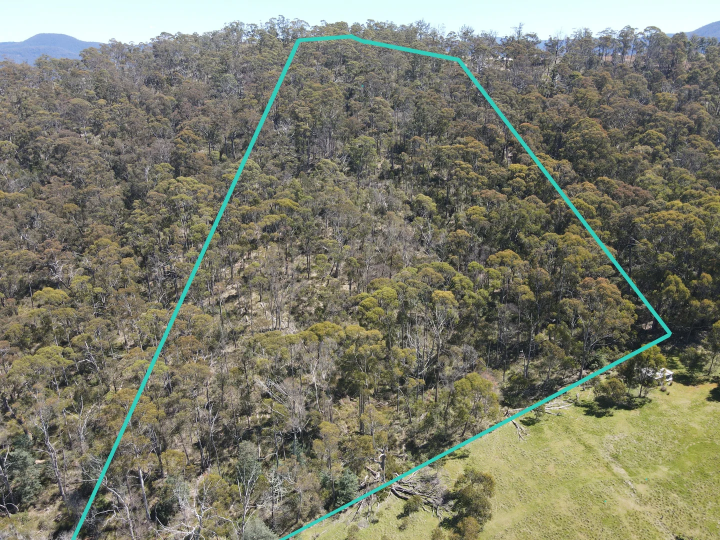 Additional image 13 of Lot 9 Bull Oak Way, Grove TAS 7109