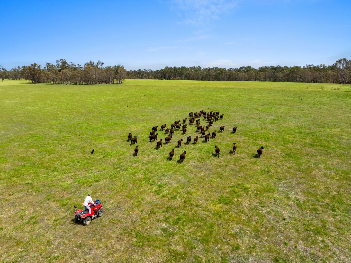 Additional image 9 of 431 Morningside Road, Wahring VIC 3608