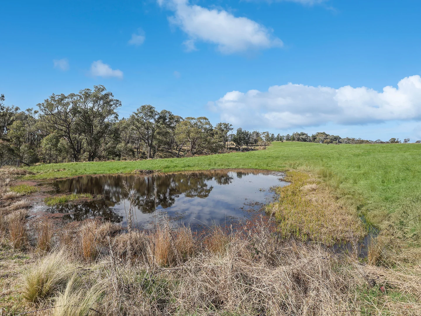 Additional image 24 of 551 Inverary Road, Paddys River NSW 2577