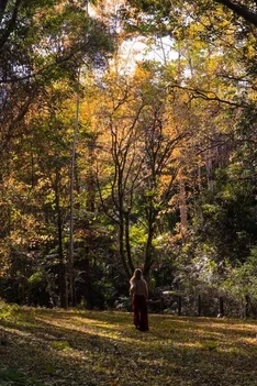 Additional image 10 of 361 Huonbrook Road, Huonbrook NSW 2482