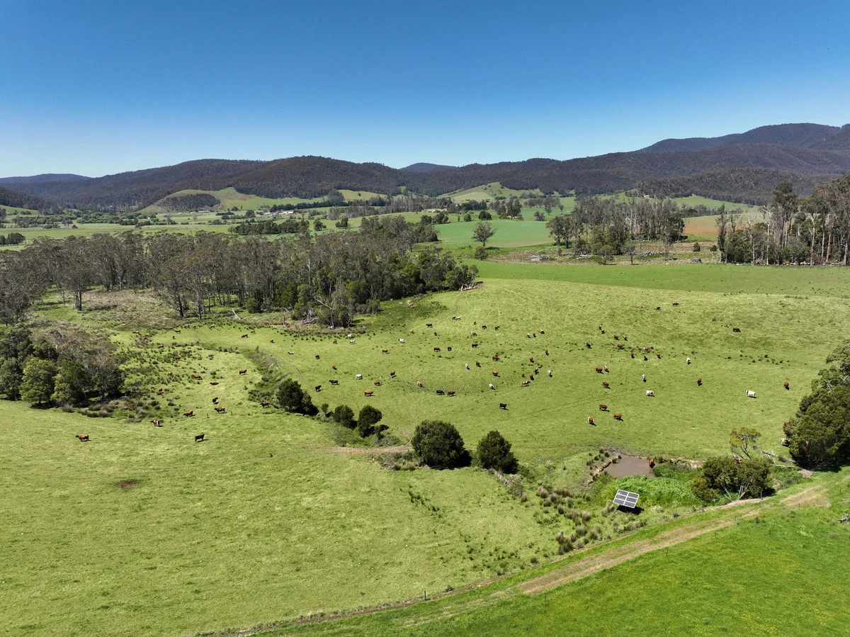 Additional image 26 of 569 St Columba Falls Road, Pyengana TAS 7216