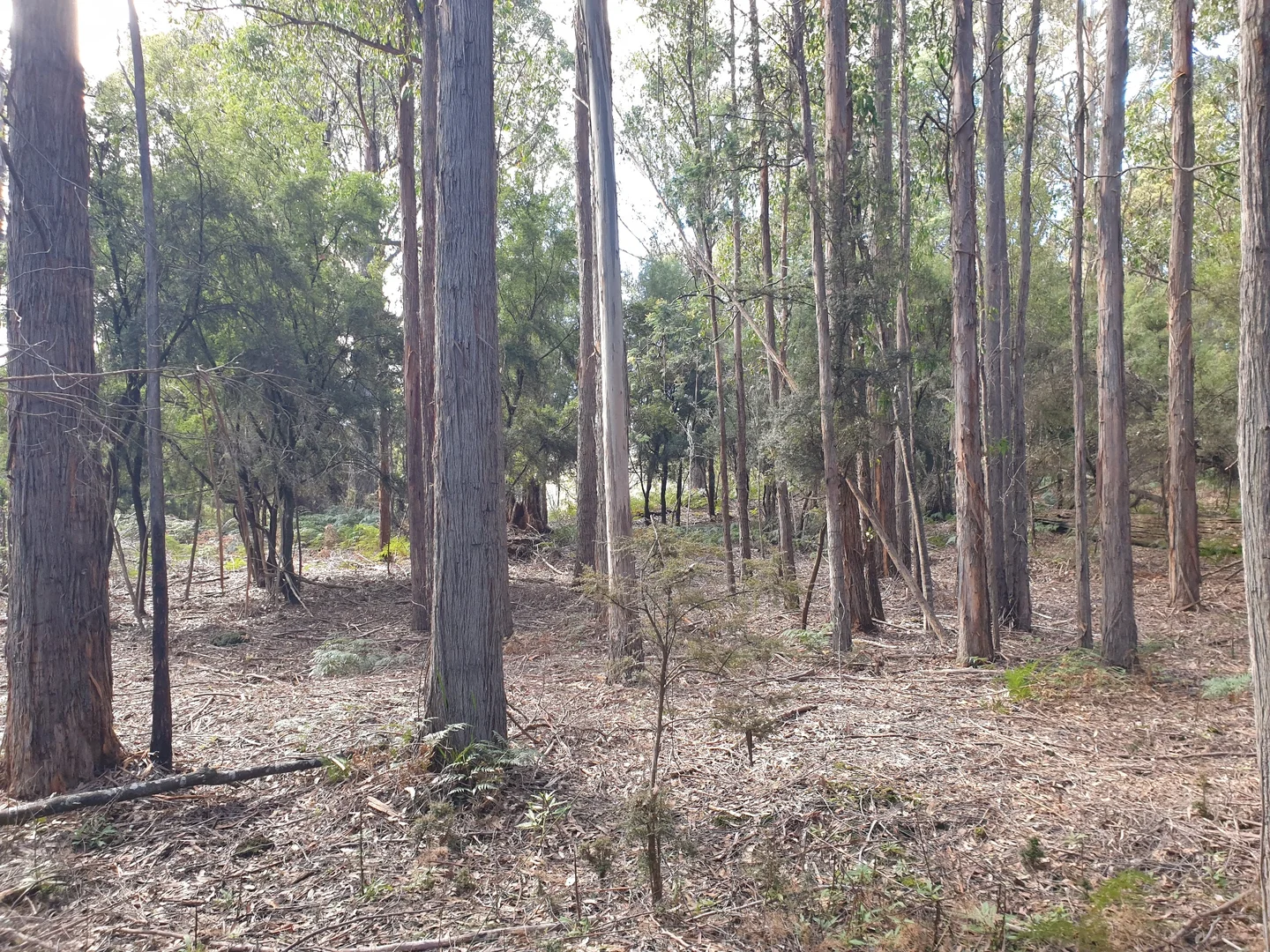 Additional image 12 of Lot 2 Huon Highway, Dover TAS 7117