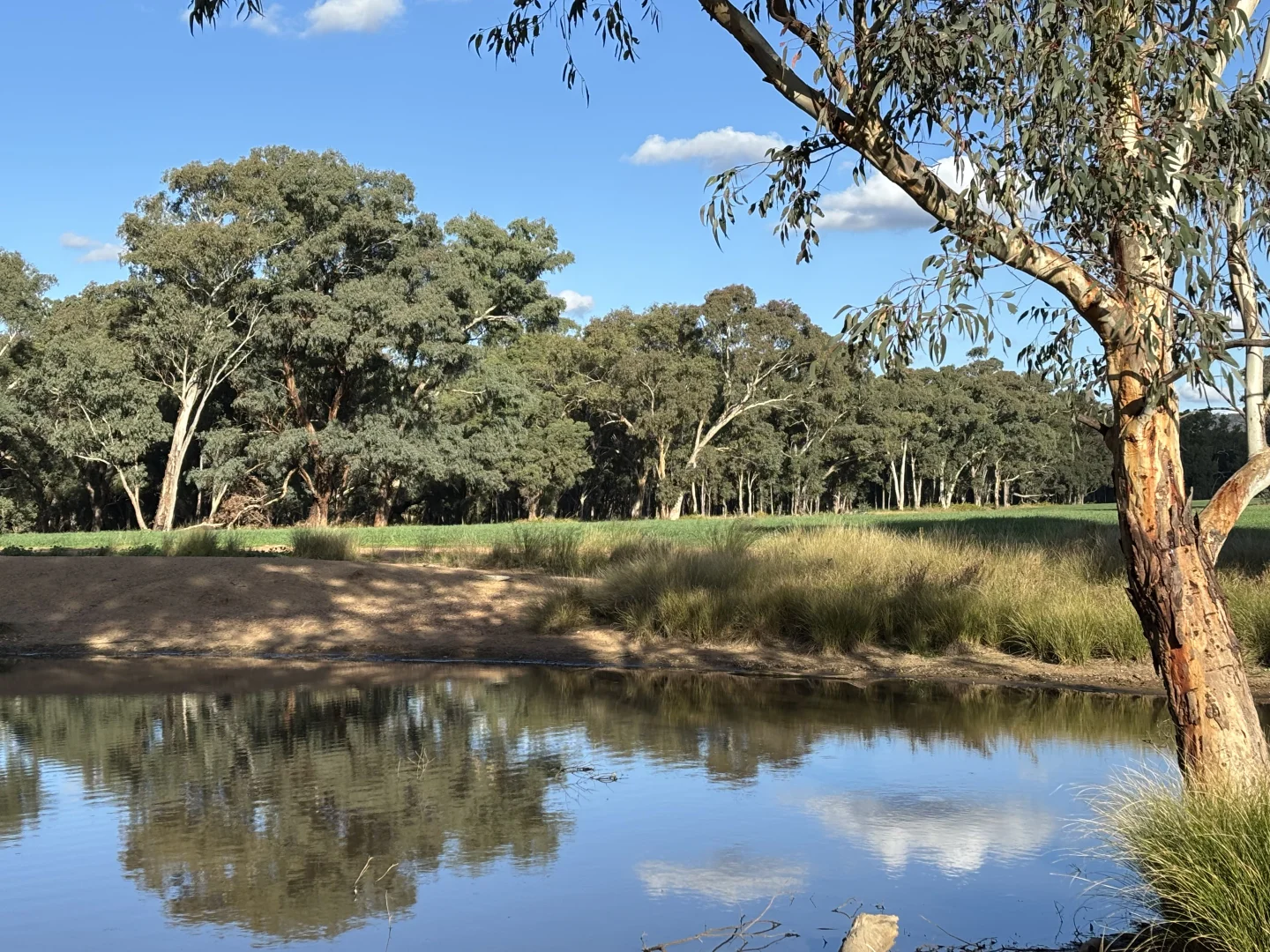 Additional image 16 of 2824 Neilrex Road, Coolah NSW 2843