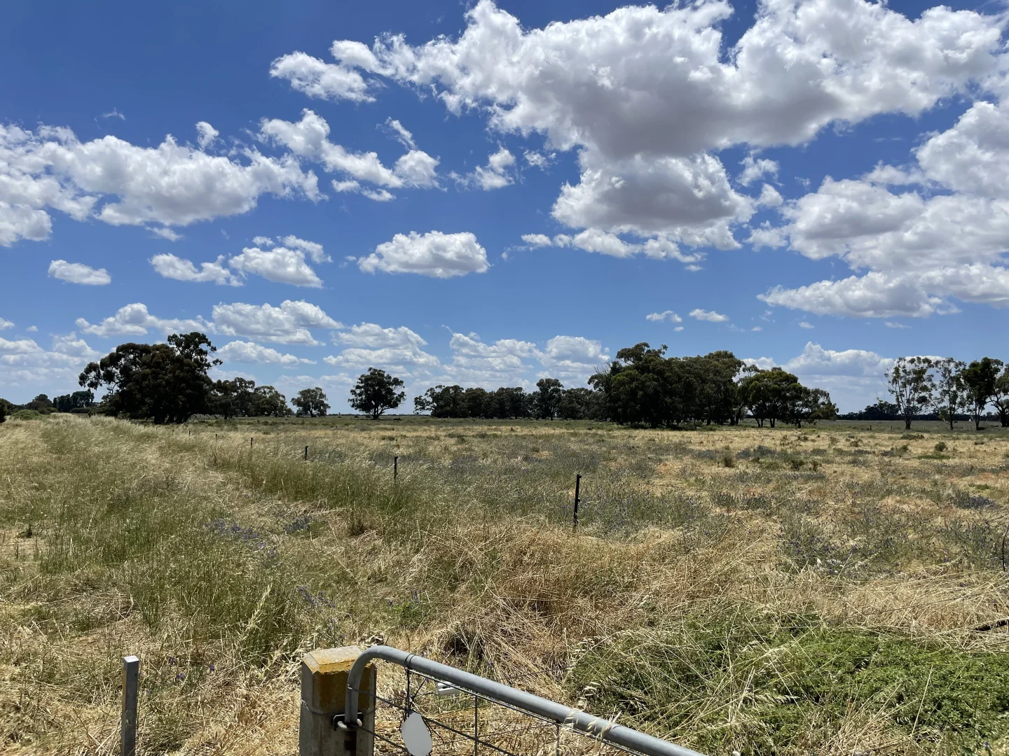 Additional image 2 of 'Yileen' 4371 Moulamein Road, Tullakool NSW 2732