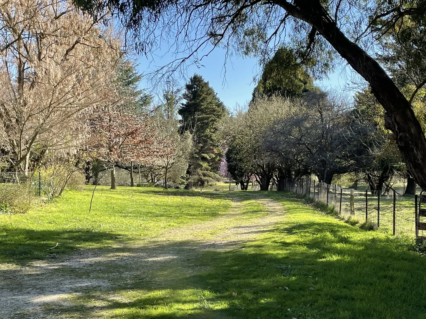 Additional image 48 of 33 Prices Lane, Blayney NSW 2799