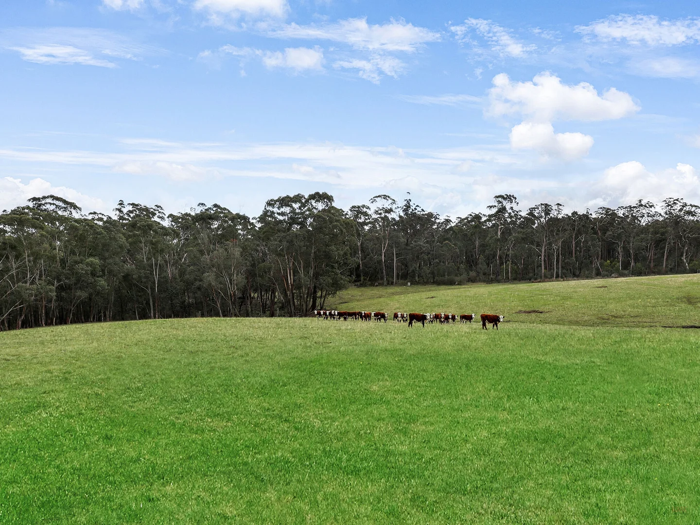 Additional image 17 of 60 Wanganderry Road, High Range NSW 2575