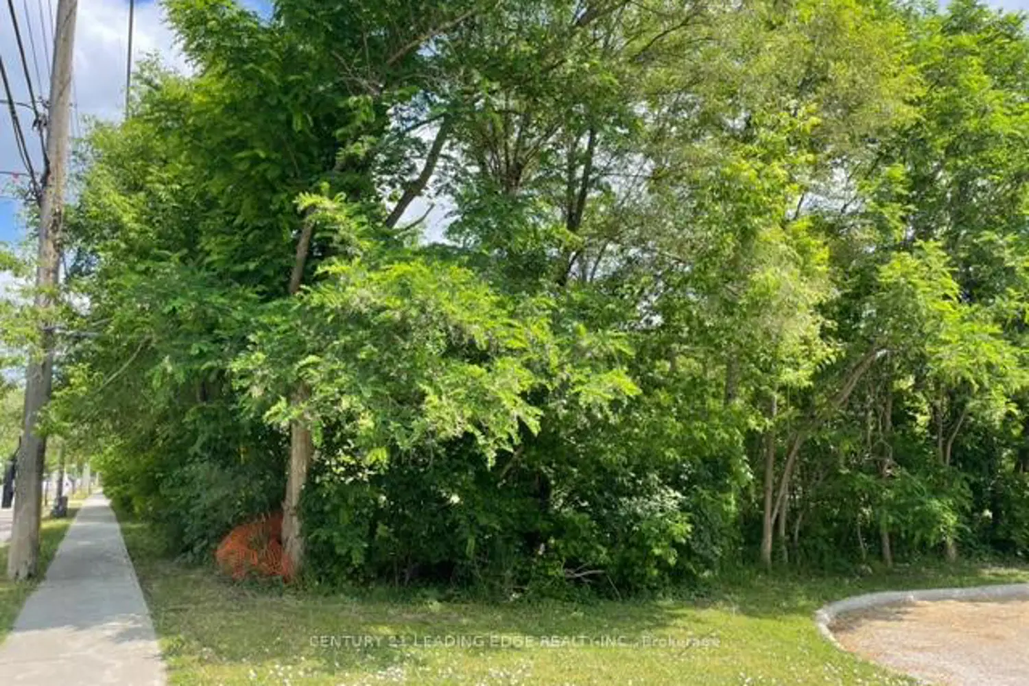 Additional image 7 of 49 Main St. South