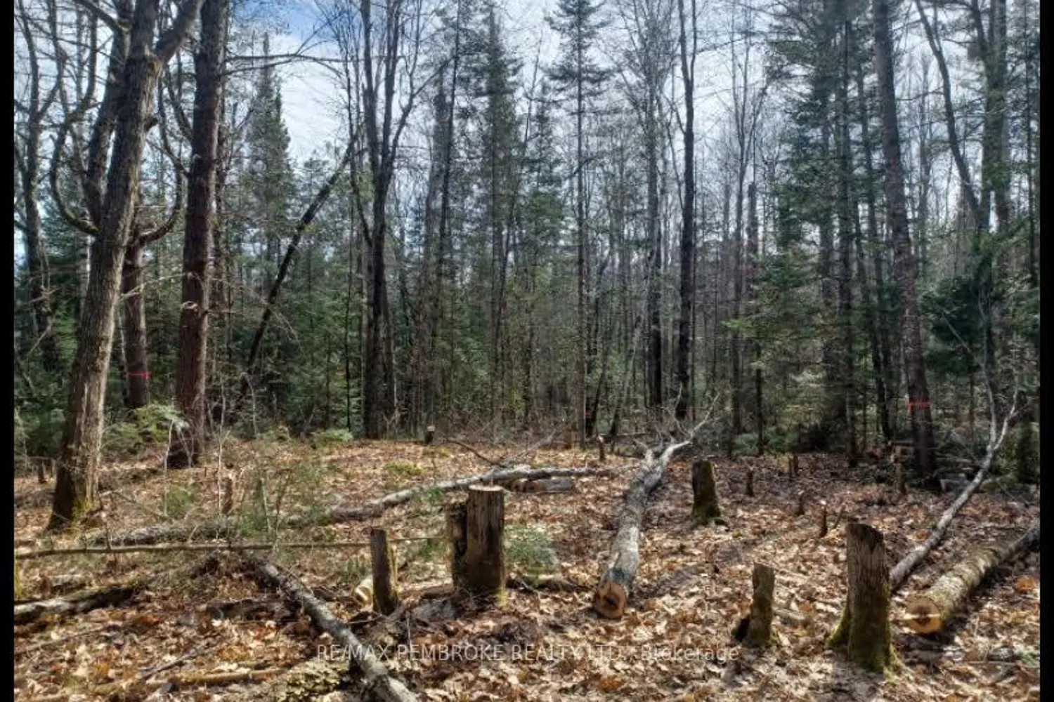 Additional image 13 of 1678 Locksley Road