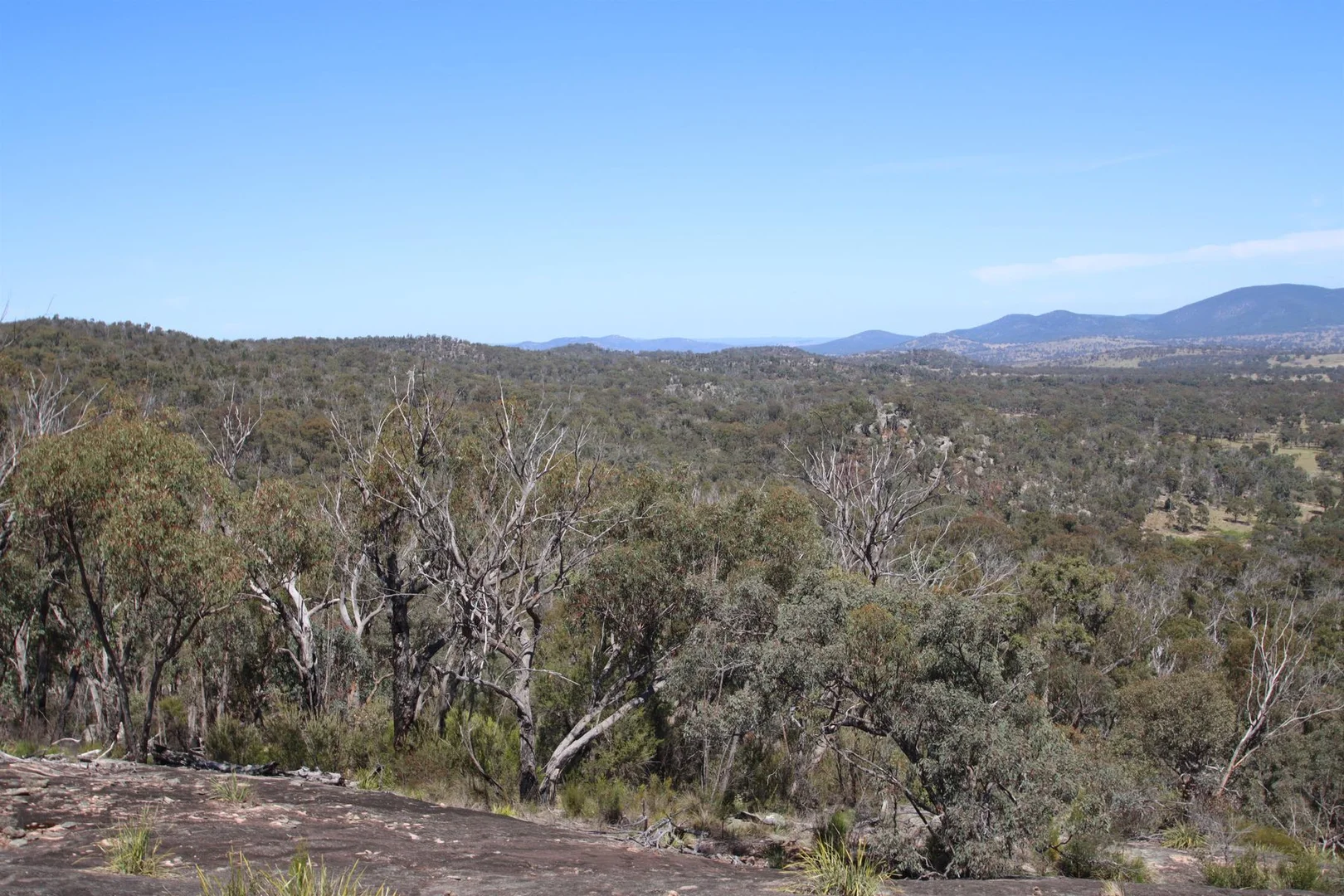 Additional image 20 of Lot 1 Brusharbers Road, Tenterfield NSW 2372