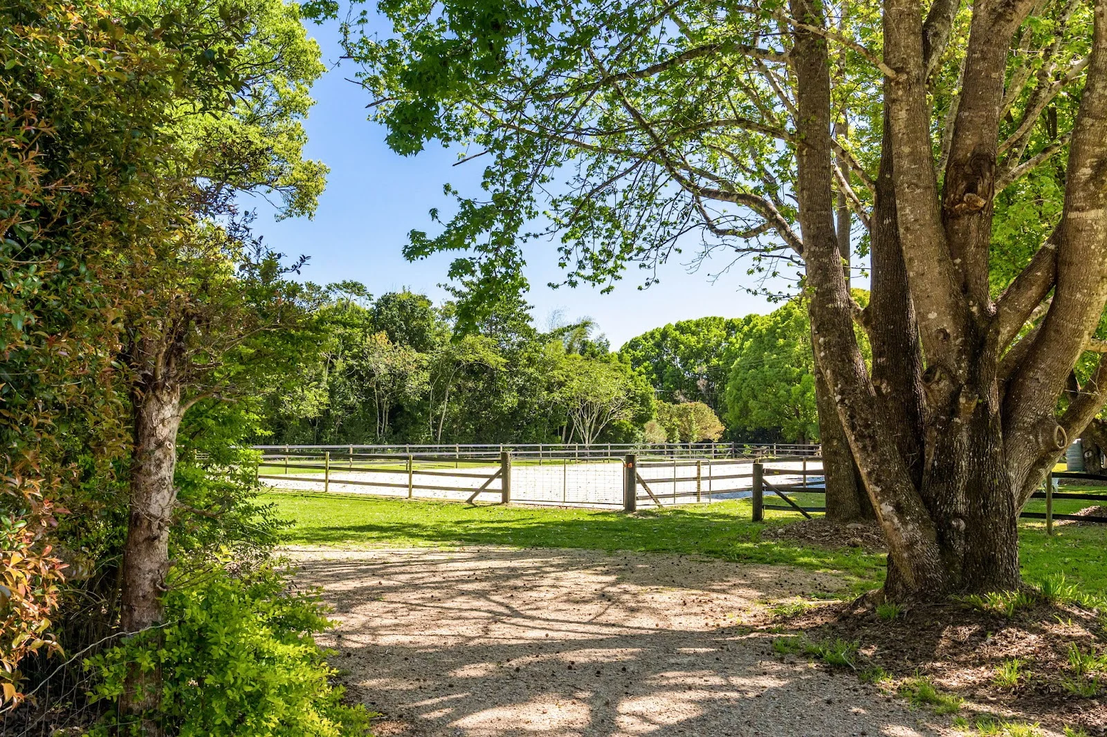 Additional image 21 of 14 Adcocks Road, Stokers Siding NSW 2484