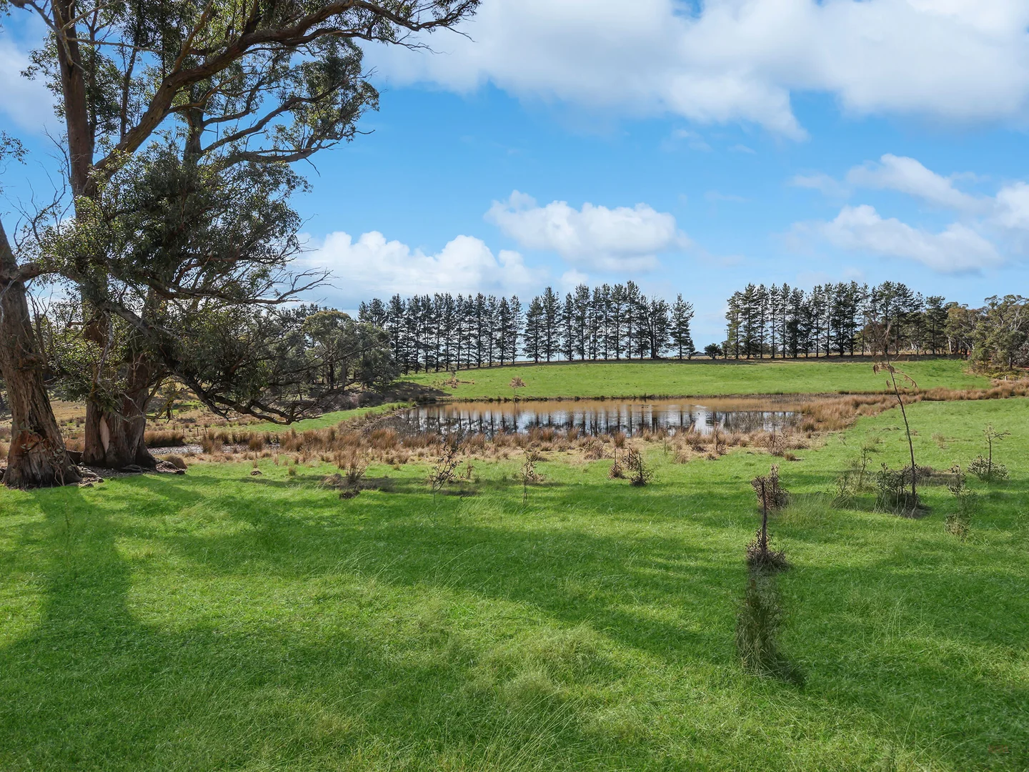 Additional image 39 of 551 Inverary Road, Paddys River NSW 2577