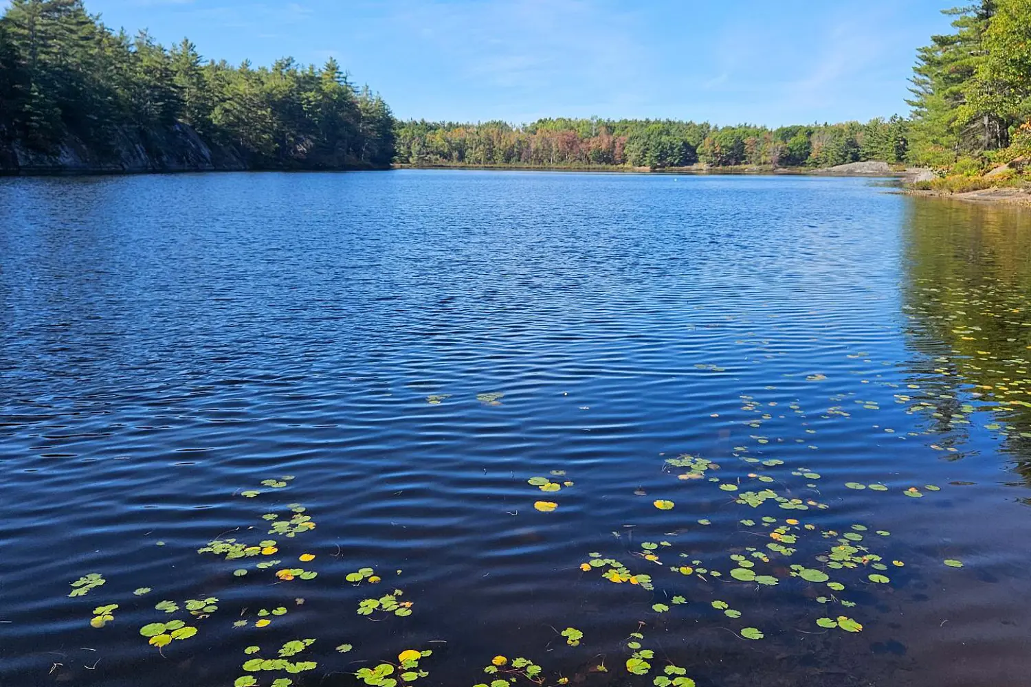 Additional image 2 of 1112 Sam Cook Road