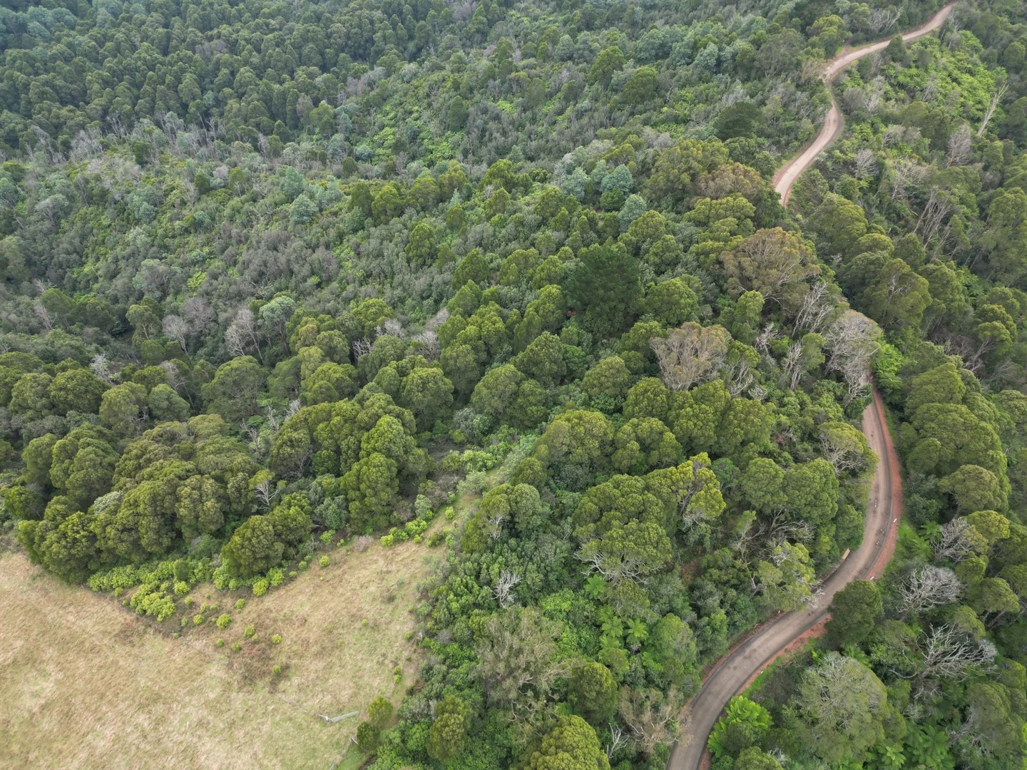 478 Foster-Mirboo Road, Dollar VIC 3871