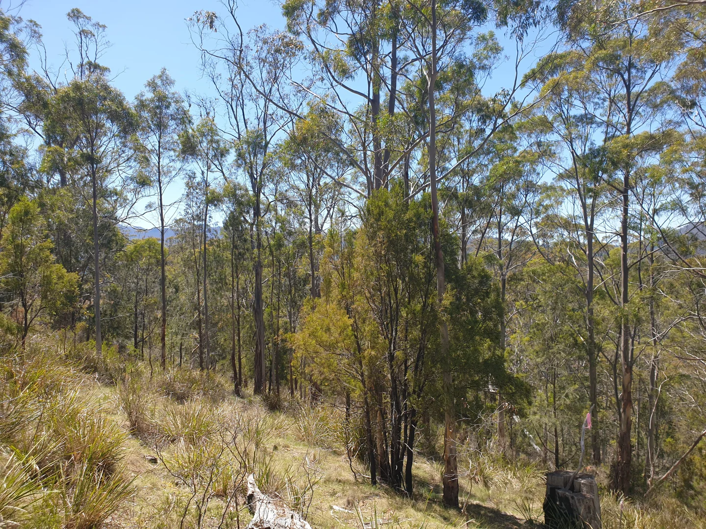 Additional image 4 of Lot 9 Bull Oak Way, Grove TAS 7109