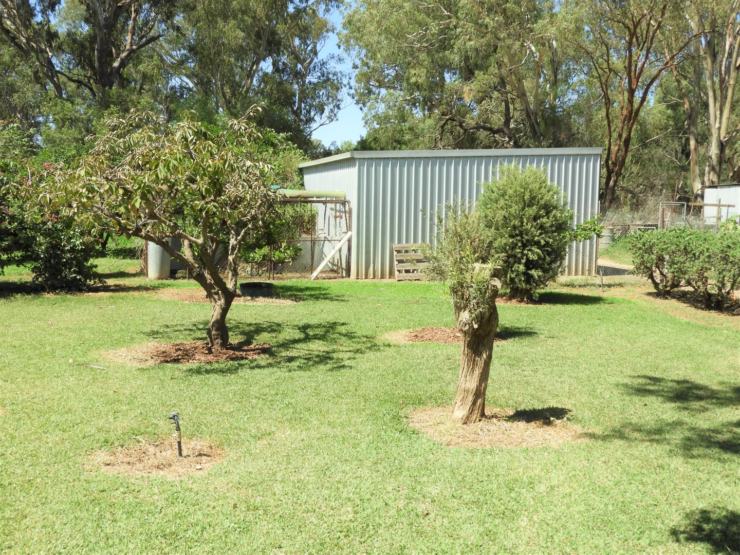 Additional image 4 of 45 Hilton Lane, Warren NSW 2824