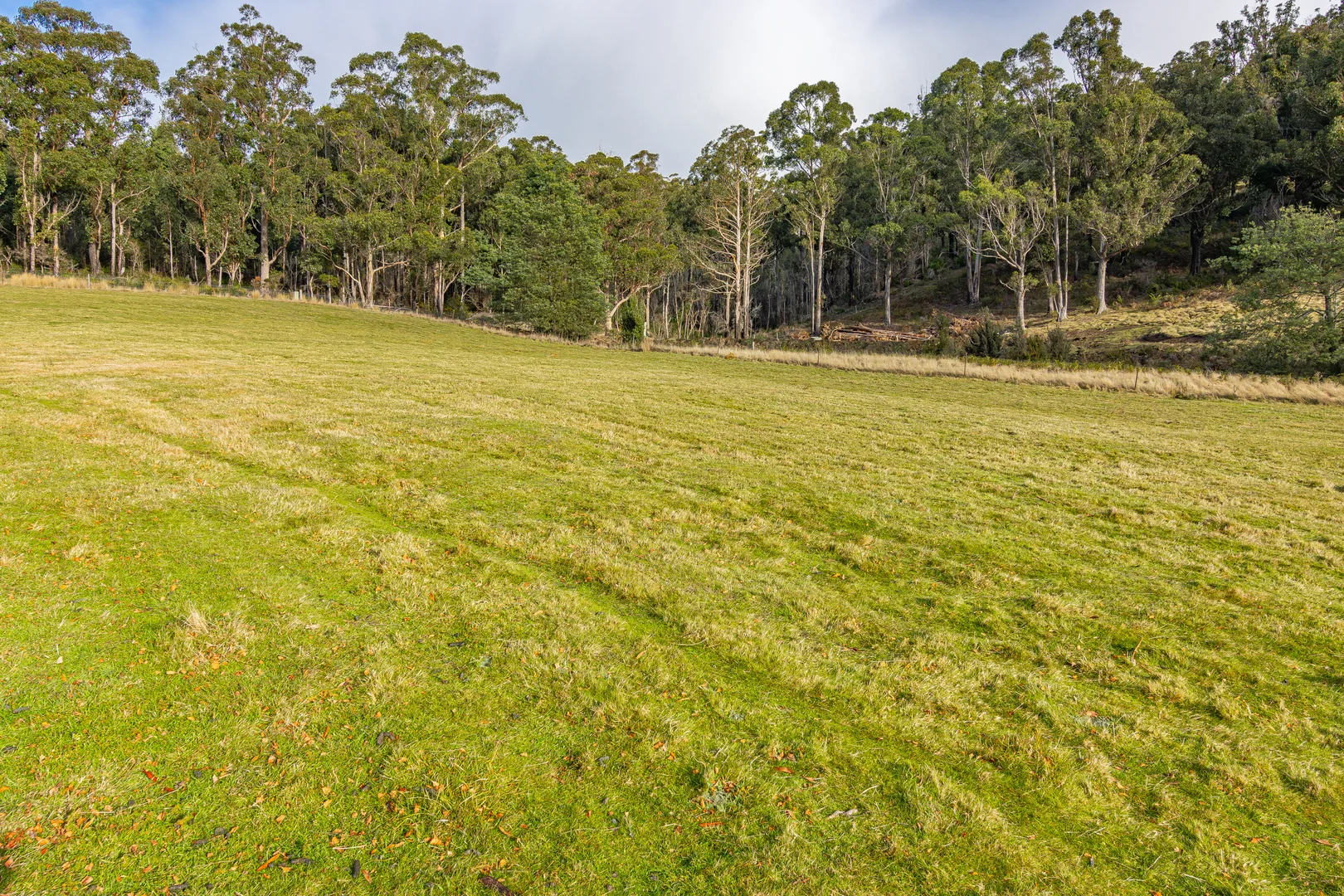 Additional image 18 of 112 Rileys Creek Road, Geeveston TAS 7116