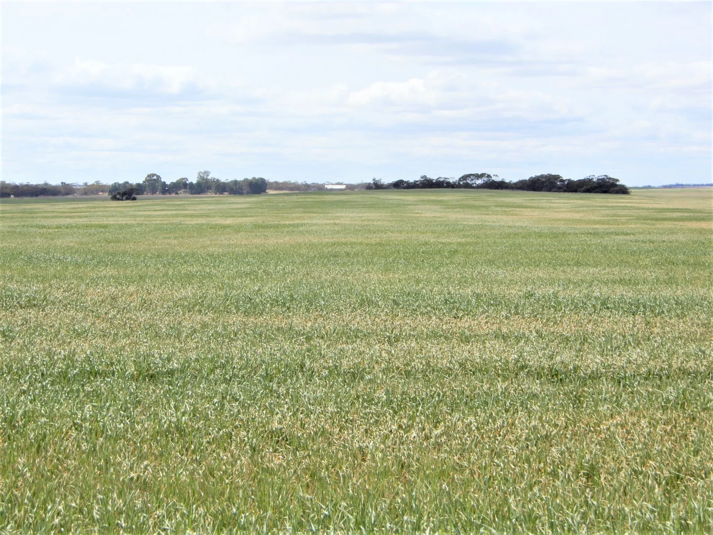 Additional image 2 of 477 Beelitz Road, Geranium SA 5301