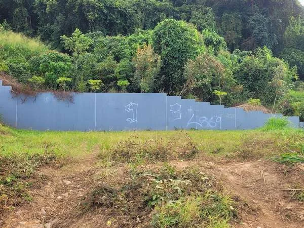 Additional image 27 of 21 Drummer St, Kanimbla QLD 4870