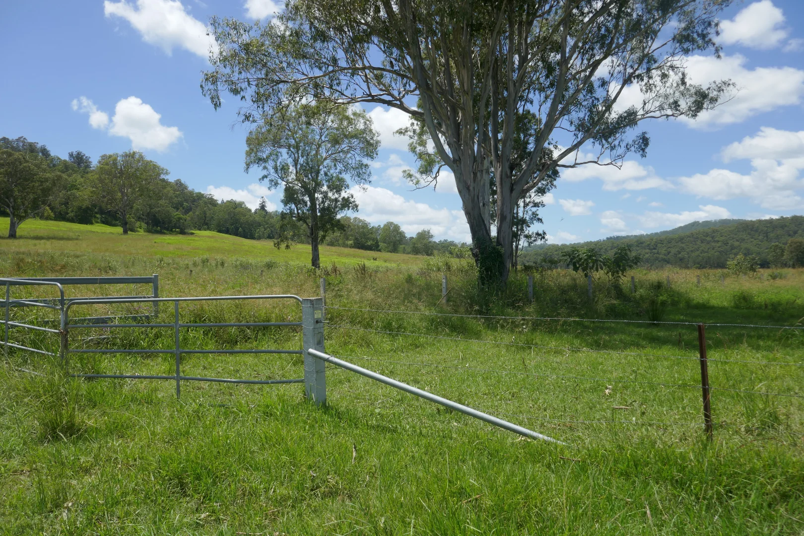 Additional image 35 of 1100 Iron Pot Creek & Ghinni Ghi Roads, Kyogle NSW 2474